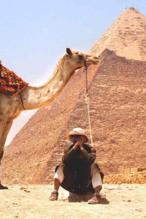 camel-926435_1920