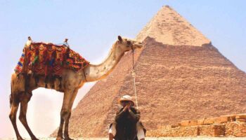 camel-926435_1920