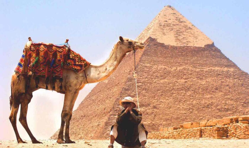 camel-926435_1920